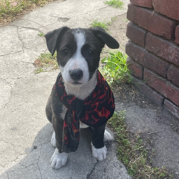 Love your life - Picture 7 of 13